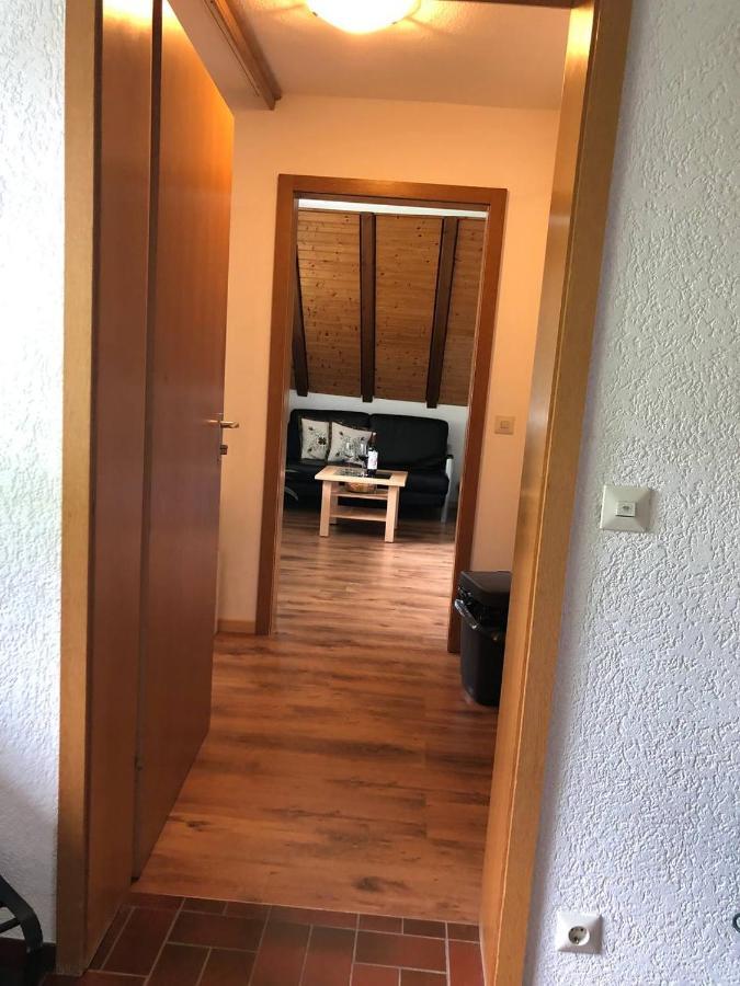 Haus Am Scheibenfelsen Apartment St. Blasien Exterior foto